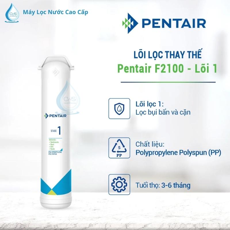 loi-loc-thay-the-pentair-f2100-loi-so-1