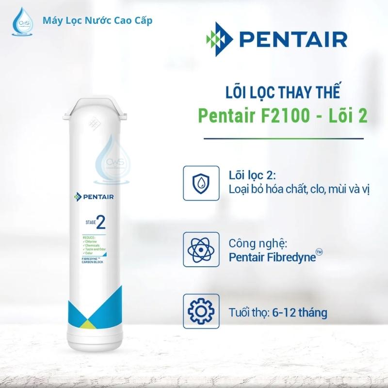 loi-loc-thay-the-pentair-f2100-loi-so-2