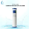 Lõi Lọc Nước Pentair DFX-CB-20BB Carbon