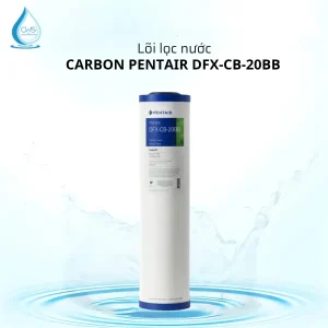 Lõi Lọc Nước Pentair DFX-CB-20BB Carbon