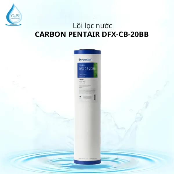 Lõi Lọc Nước Pentair DFX-CB-20BB Carbon Lõi Lọc Nước Pentair DFX-CB-20BB Carbon