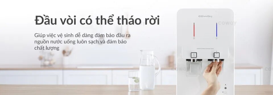 dau-voi-co-the-thao-roi