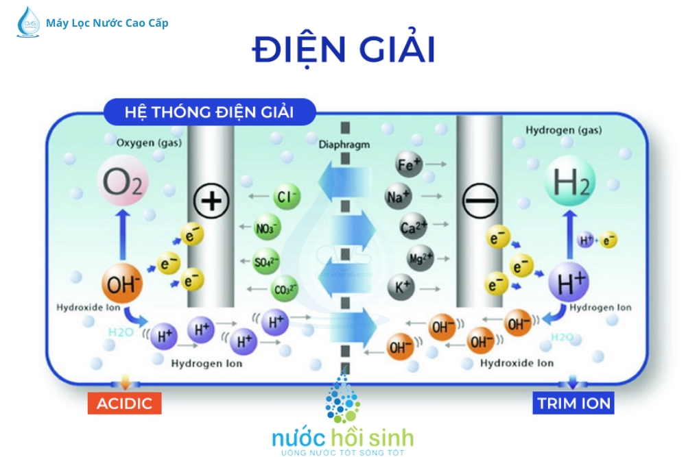 cong-nghe-dien-giai-nuoc-tao-ra-nuoc-hydrogen