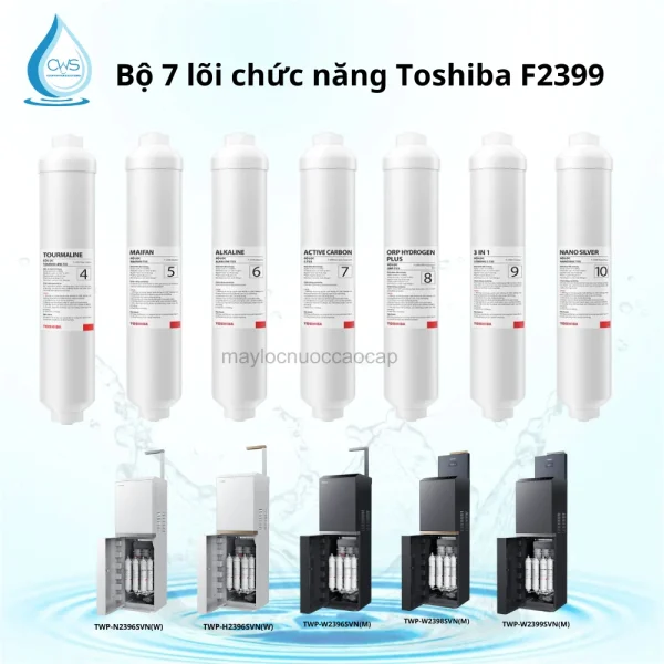 Bộ lõi lọc chức năng Toshiba TWP-H2396SVN(W)
