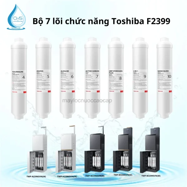 Bộ lõi lọc chức năng Toshiba TWP-W2398SVN(M)
