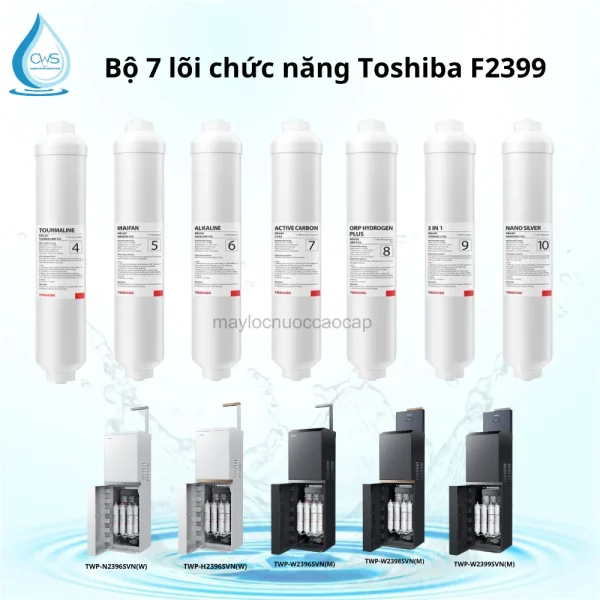 Bộ lõi lọc chức năng Toshiba TWP-N2396SVN(W)