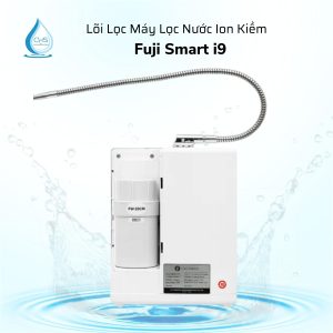 loi-loc-may-dien-giai-fuji-smart-i9