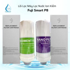 loi-loc-may-dien-giai-fuji-smart-p8