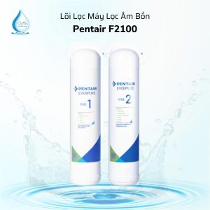 loi-loc-may-loc-uoc-pentair-f2100