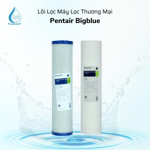 loi-loc-nuoc-thuong-mai-pentair-bigblue-2-cap