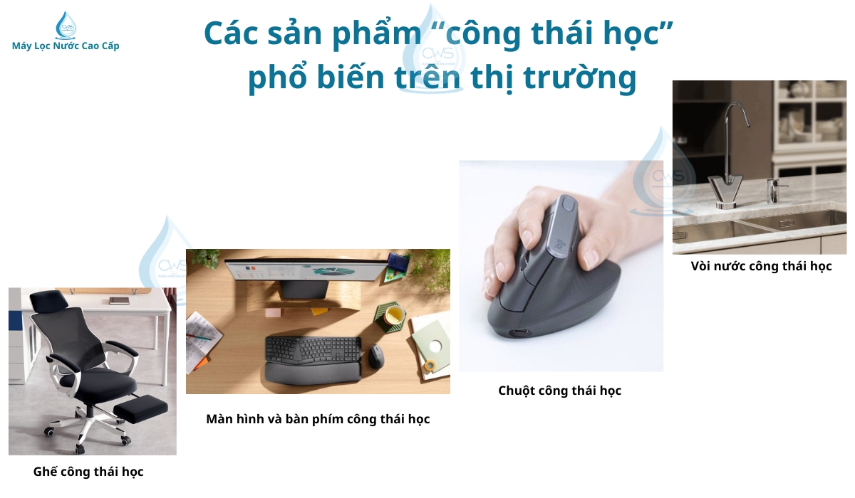 cac-san-pham-cong-thai-hoc-pho-bien-tren-thi-truong