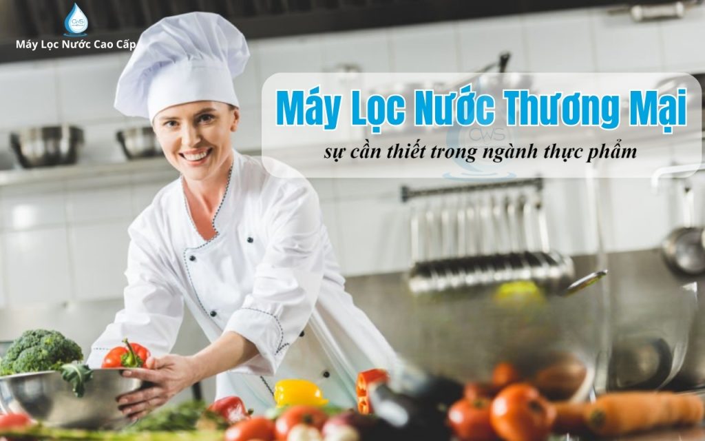 may-loc-nuoc-thuong-mai-trong-nganh-thuc-pham