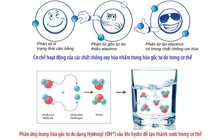 nuoc-ion-kiem-chong-goc-tu-do-nguyn-nhan-gay-loang-xuong