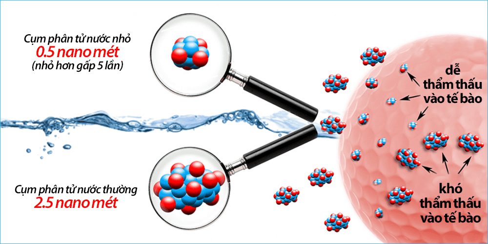 phan-tu-nuoc-sieu-nho-de-dang-tham-sau-vao-tung-te-bao