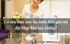 co-nen-mua-may-dien-giai-noi-dia-nhat-ban