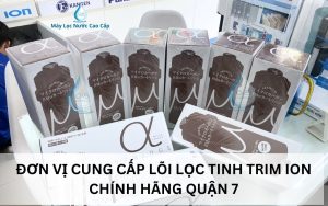 dia-chi-cung-cap-loi-loc-trim-ion-chinh-hang-quan-7