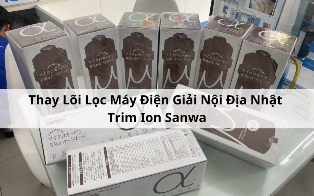 huong-dan-thay-loi-noi-dia-nhat-trim-ion-sanwa