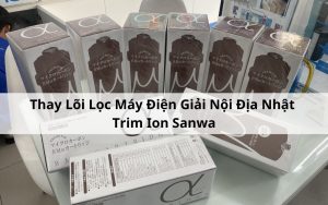 huong-dan-thay-loi-noi-dia-nhat-trim-ion-sanwa