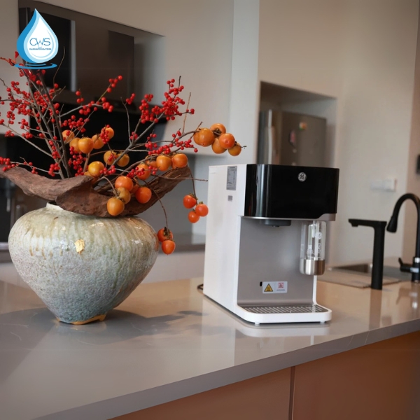 Hình ảnh thực tế sản phẩm máy lọc nước GE CTS10