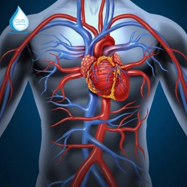 Máy điện trường cao áp hỗ trợ tăng cường lưu thông máu