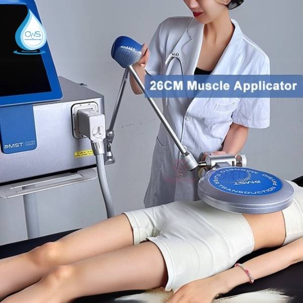 Máy xung điện trị liệu từ tính (PEMF - Pulsed Electromagnetic Field Therapy)