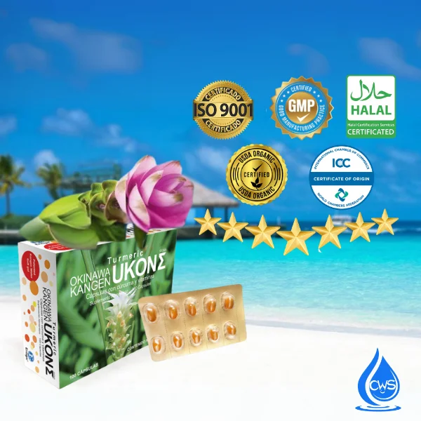 Các chứng nhận về chất lượng sản phẩm viên nghệ TURMERIC KANGEN UKON SIGMA