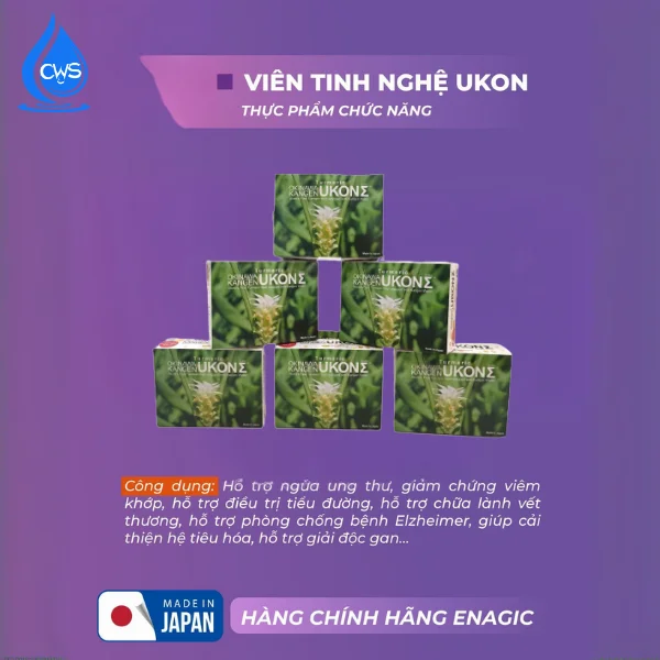 Công Dụng Của Viên Nghệ TURMERIC KANGEN UKON SIGMA
