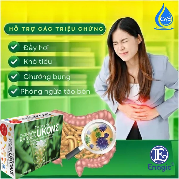 Hỗ trợ tiêu hóa, giảm đầy hơi, khó tiêu
