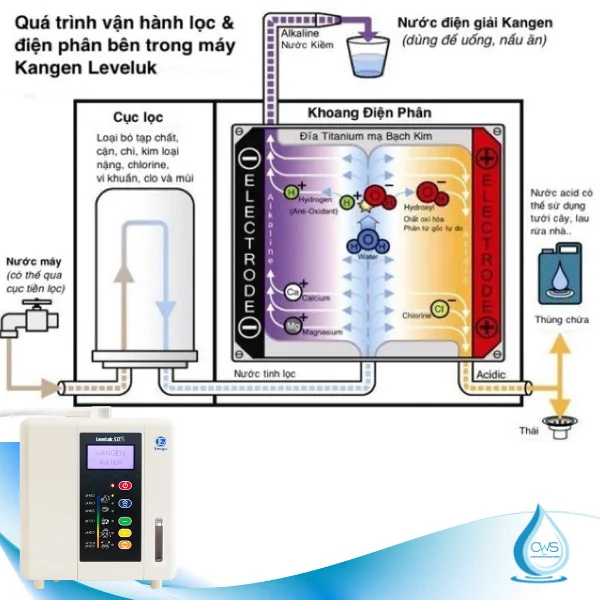 Quá Trình Vận Hành Của Máy Ion Kiềm Kangen Leveluk SD501DX