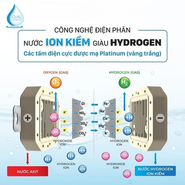 Quy trình điện phân từ các tấm điện cực máy ion kiềm
