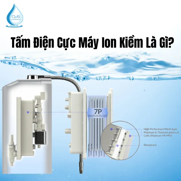 Tấm Điện Cực Máy Ion Kiềm Là Gì