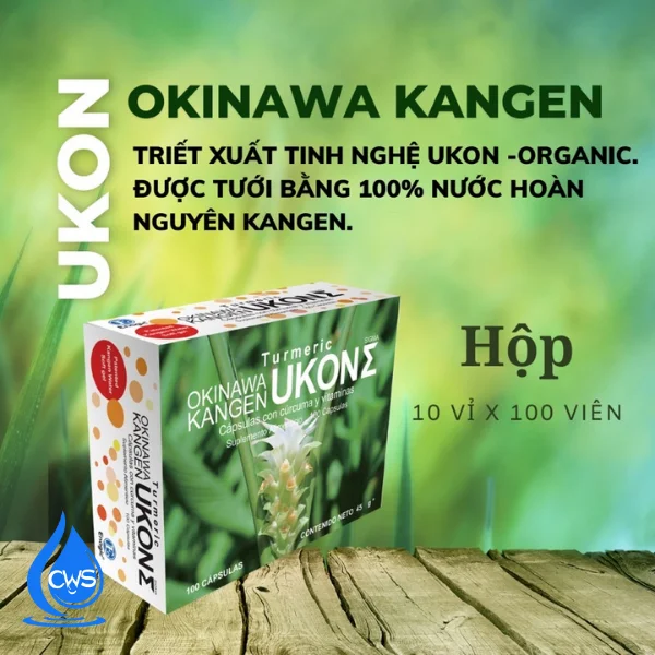 Viên Nghệ TURMERIC KANGEN UKON SIGMA - Chăm Sóc Sức Khỏe Và Làn Da