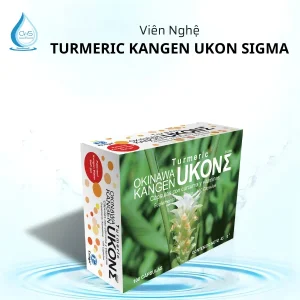 Viên uống tinh chất nghệ TURMERIC KANGEN UKON SIGMA