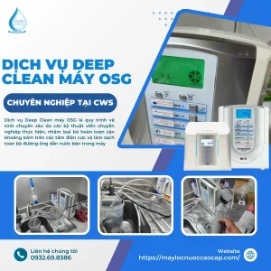 Dịch Vụ Deep Clean Máy OSG Chuyên Sâu Tại Clean Water Solutions