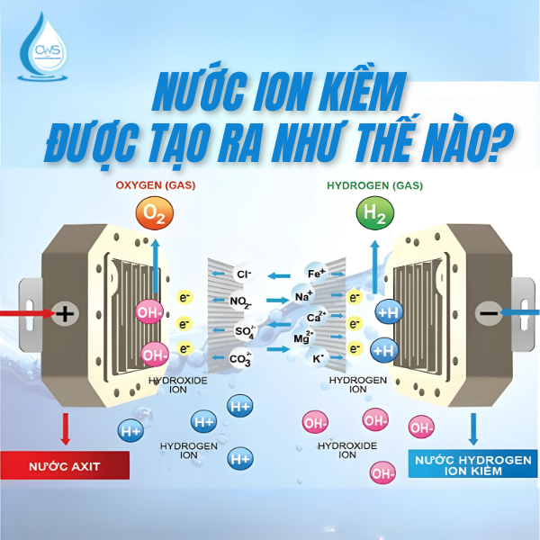 Nước Ion Kiềm Được Tạo Ra Như Thế Nào