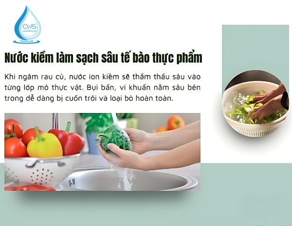 Rửa Rau Bằng Nước Ion Kiềm Khác Gì So Với Nước Máy?