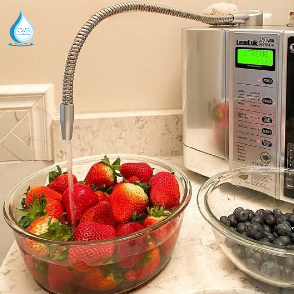 Sử dụng nước ion kiềm từ máy điện giải Kangen Leveluk SD501 Platinum để rửa trái cây