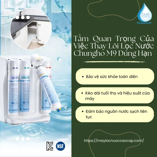 Tầm Quan Trọng Của Việc Thay Lõi Lọc Nước Chungho M9 Đúng Hạn