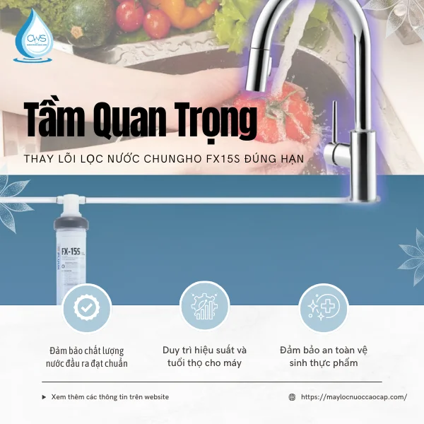 Tầm Quan Trọng Của Việc Thay Lõi Lọc Nước Chungho FX15S Đúng Hạn