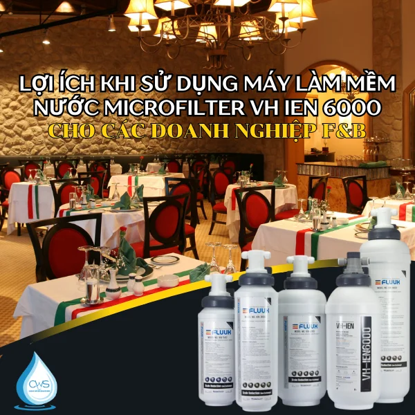 Lợi Ích Kinh Tế Khi Sử Dụng Máy Làm Mềm Nước MicroFilter VH IEN 6000 Cho Các Doanh Nghiệp F&B
