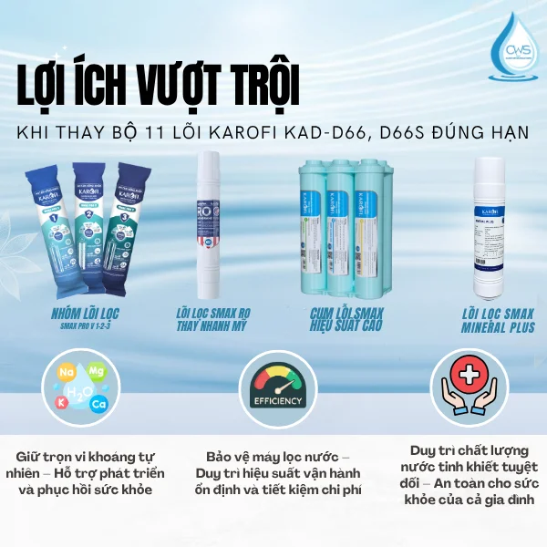 Tầm Quan Trọng Của Việc Thay Bộ 11 Lõi Karofi KAD-D66/D66S Đúng Hạn