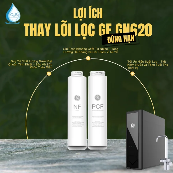 Tầm Quan Trọng Của Việc Thay Lõi Lọc GE GN620 Đúng Hạn