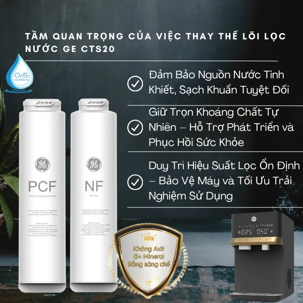 Tầm Quan Trọng Của Việc Thay Thế Lõi Lọc Nước GE CTS20