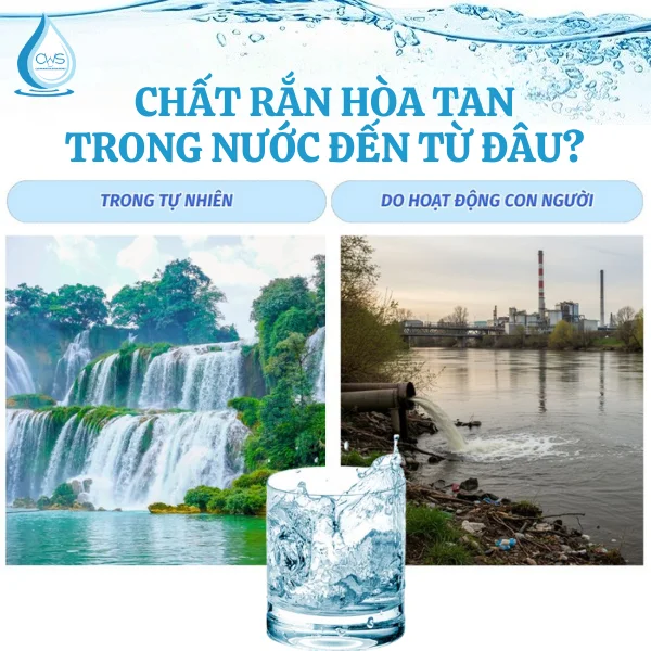 Chất rắn hòa tan trong nước đến từ đâu