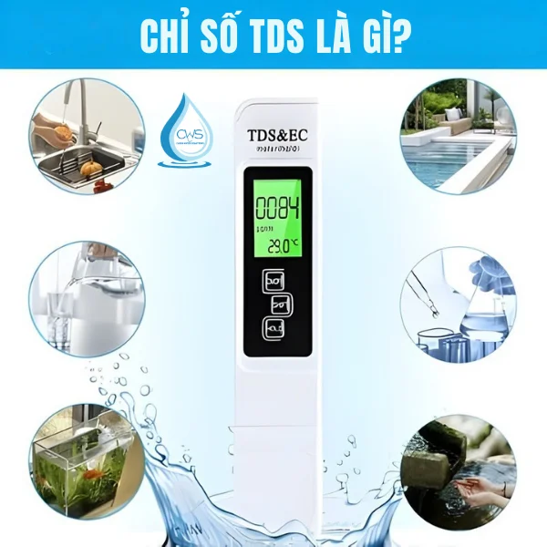 Chỉ Số TDS Là Gì - Nguồn Gốc TDS Đến Từ Đâu