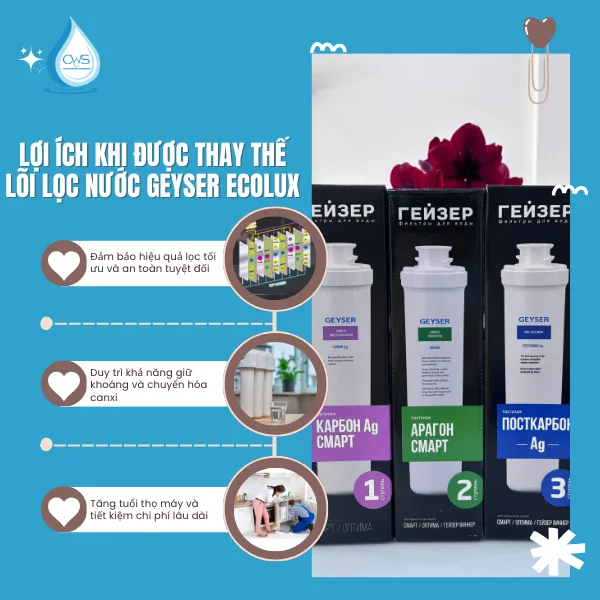 Lợi Ích Khi Được Thay Thế Lõi Lọc Nước Geyser Ecolux Đúng Hạn