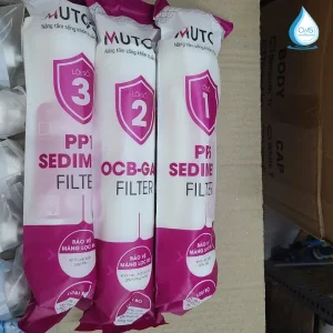 Hình Ảnh Thực Tế Bộ Lọc Thô 123 Mutosi