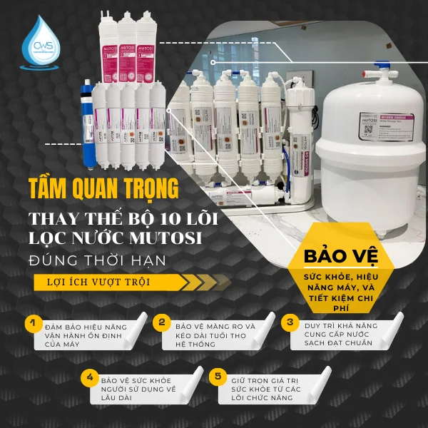 Tầm Quan Trọng Của Việc Thay Thế Bộ 10 Lõi Lọc Nước Mutosi Đúng Thời Hạn
