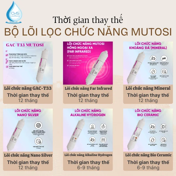 Thời Gian Thay Thế Bộ 6 Lõi Lọc Chức Năng Mutosi