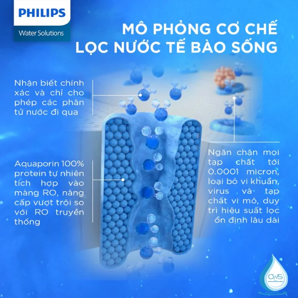 Màng Lọc Aquaporin RO Trên Máy Lọc Nước Philips